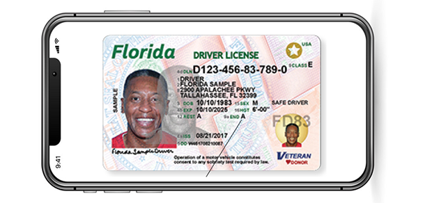 Florida drivers license number generator